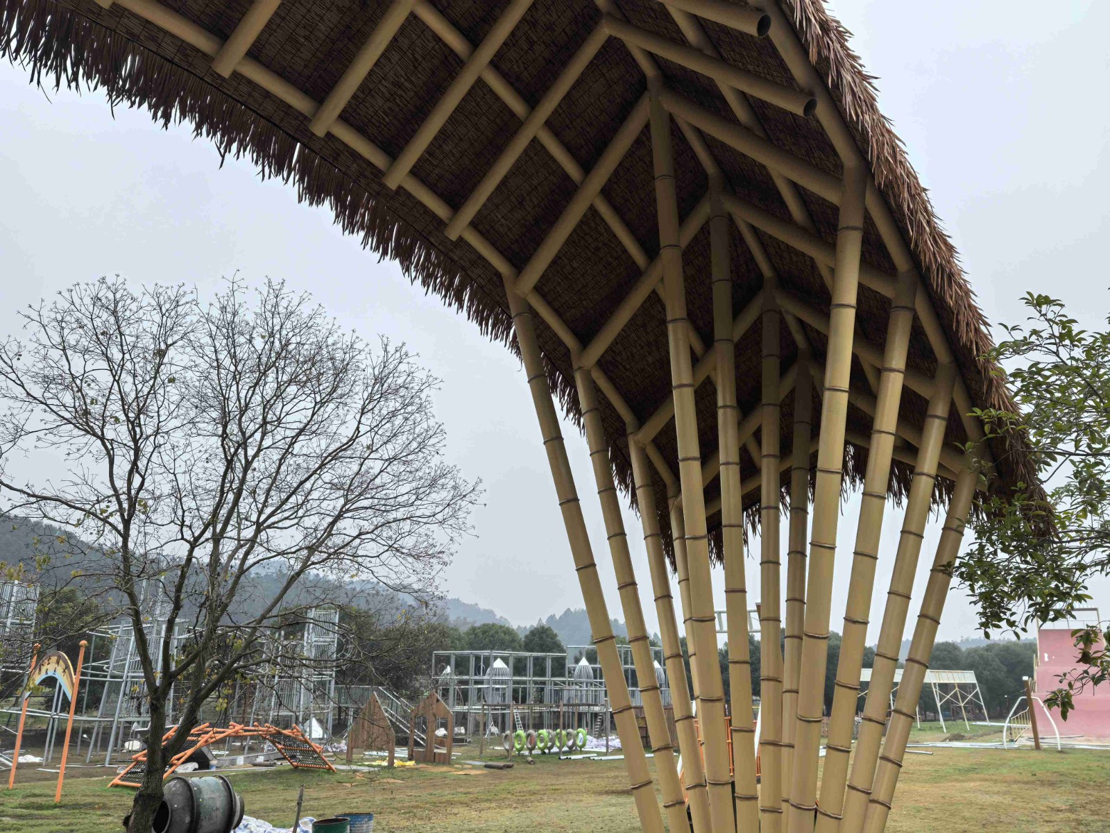 1768440855385248.jpg IMG_20241212_090956.jpg