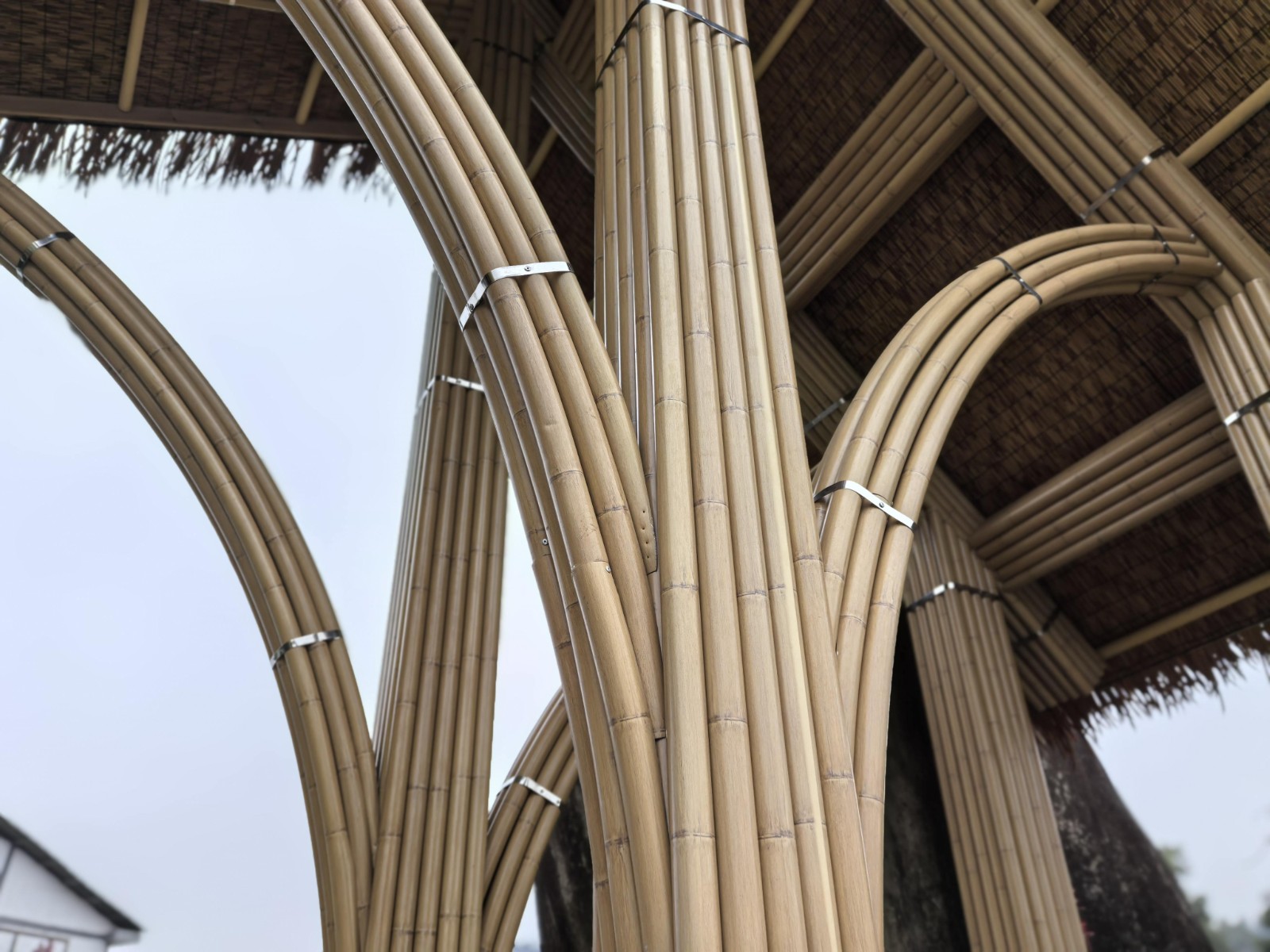 1768440902722716.jpg IMG_20241212_092740.jpg